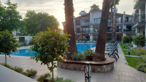 Palm Apt. #1